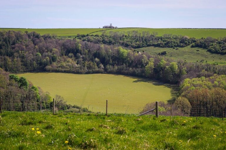 agricultural land investment